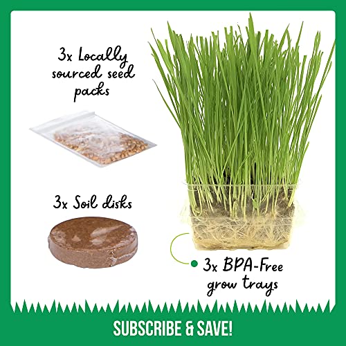 Cat Grass Growing Kit - 3 Pack Organic Seed, Soil and BPA Free containers (Non GMO). All of Our Seed is Locally sourced for pet and pet Lovers.