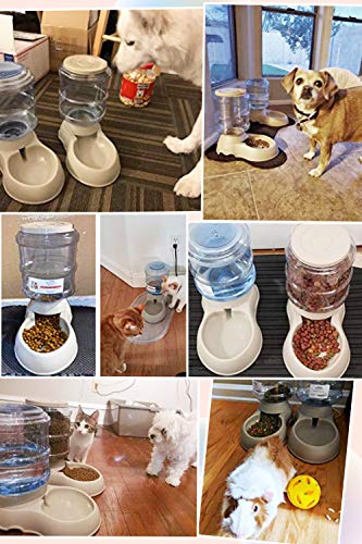 Ito Rocky Pet Feeding Solution Automatic Cat & Dog Cafe Feeder and Water Dispenser in Set with Food Scoop 6-Meal Automatic Food Dispenser for Small/Middle Puppy and Kitten