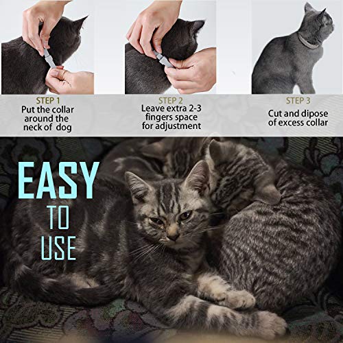 Flea and Tick Collar for Cat, Repels Fleas & Ticks, Natural Essential Oils, Allergy Prevention, 8 Months Protection, Adjustable & Waterproof (2 Packs)
