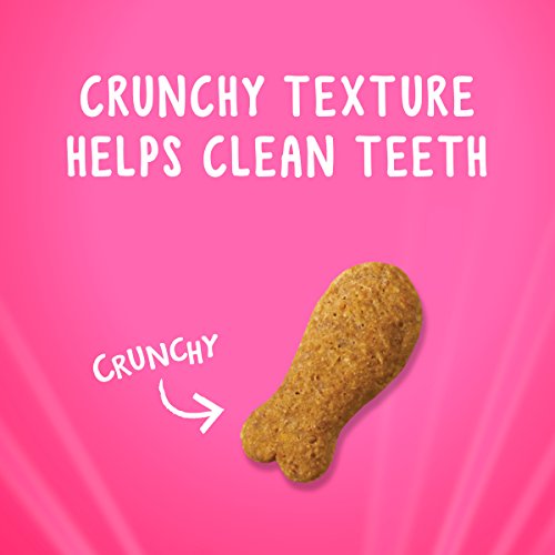 Purina Friskies Made in USA Facilities Cat Treats, Party Mix Chicken & Waffle Flavors - (6) 6 oz. Pouches