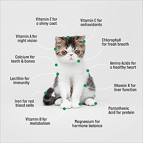 Cat Grass Growing Kit - 3 Pack Organic Seed, Soil and BPA Free containers (Non GMO). All of Our Seed is Locally sourced for pet and pet Lovers.