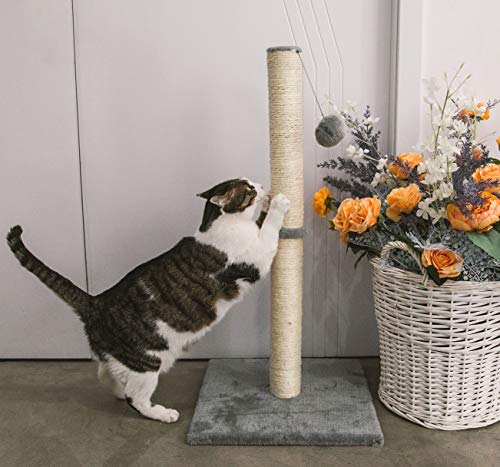 Qucey 32 Inches Tall Cat Scratching Post, Claw Scratcher with Sisal Rope Include a Cat Interactive Plush Ball Toy