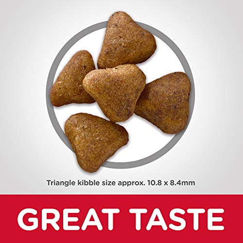 Hill's Science Diet Dry Cat Food, Adult 7+ for Senior Cats, Indoor, Chicken Recipe, 7 lb Bag