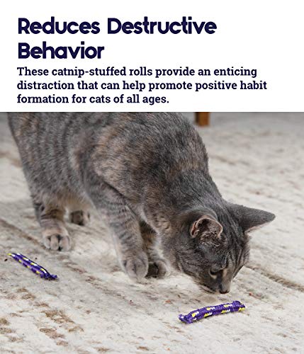 Nighttime Quiet Cat Toy Quiet Catnip Toys, Catnip Rolls by Petstages