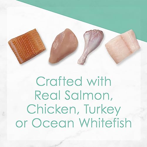 Purina Fancy Feast Grain Free Pate Wet Kitten Food Variety Pack, Kitten Classic Pate Collection, 4 flavors - (24) 3 oz. Boxes