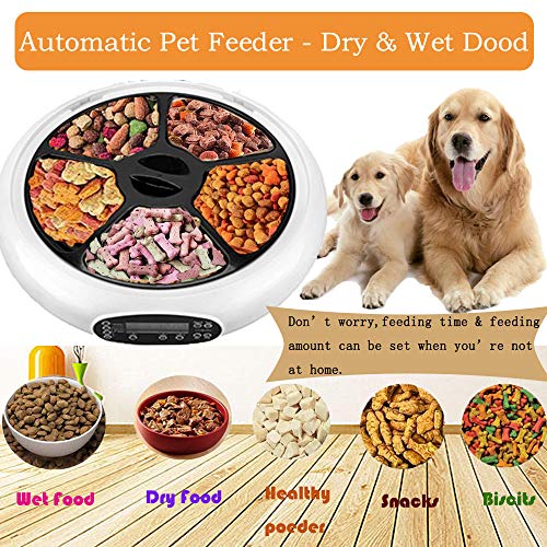 Automatic Pet Feeder Food Dispenser for Dogs, Cats & Small Animals  Features Distribution Alarms, Portion Control & Voice Recording  Timer Programmable Up to 4 Meals a Day