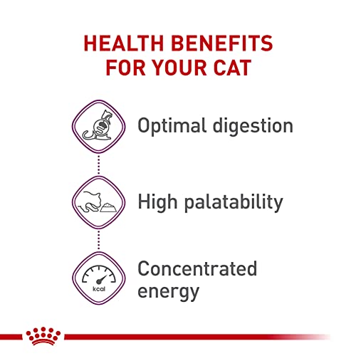 Royal Canin Adult Cat Sensitive Digestion Dry Adult Cat Food, 3.5 lb. bag