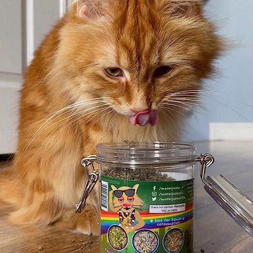Meowijuana | Catnip Bud Pawty Mix | Organic | Dried Premium 7 Herb Blend | High Potency Cat Treats | Perfect for Cat Toys | Grown in The USA | Feline & Cat Lover Approved | 1 Pack