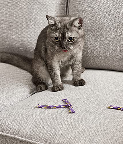 Nighttime Quiet Cat Toy Quiet Catnip Toys, Catnip Rolls by Petstages
