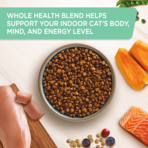 Rachael Ray Nutrish Indoor Complete Premium Natural Dry Cat Food, Chicken with Lentils & Salmon Recipe, 3 Pounds (Packaging May Vary)