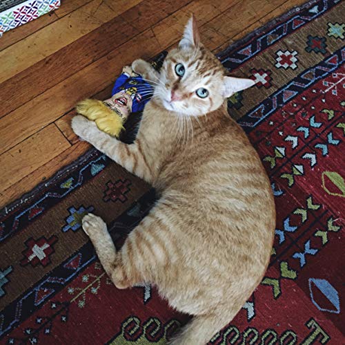 FUZZU Donald Trump Presidential Parody Novelty Cat Toy - Durable & Non-Toxic with U.S. Grown Certified Organic Catnip (8")