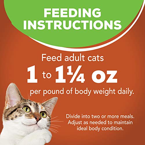 Purina Friskies Indoor Gravy Wet Cat Food, Indoor Chunky Chicken & Turkey Casserole In Gravy - (24) 5.5 oz. Cans