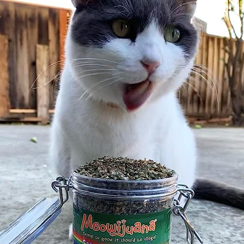 Meowijuana | Catnip Bud Pawty Mix | Organic | Dried Premium 7 Herb Blend | High Potency Cat Treats | Perfect for Cat Toys | Grown in The USA | Feline & Cat Lover Approved | 1 Pack