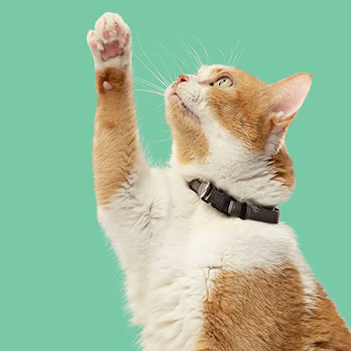 Rachael Ray Nutrish Indoor Complete Premium Natural Dry Cat Food, Chicken with Lentils & Salmon Recipe, 3 Pounds (Packaging May Vary)