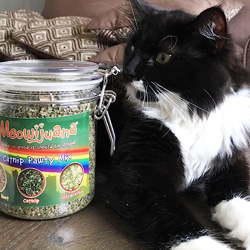 Meowijuana | Catnip Bud Pawty Mix | Organic | Dried Premium 7 Herb Blend | High Potency Cat Treats | Perfect for Cat Toys | Grown in The USA | Feline & Cat Lover Approved | 1 Pack
