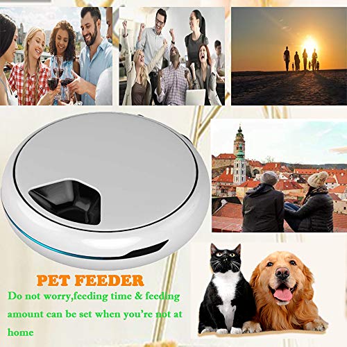Automatic Pet Feeder Food Dispenser for Dogs, Cats & Small Animals  Features Distribution Alarms, Portion Control & Voice Recording  Timer Programmable Up to 4 Meals a Day