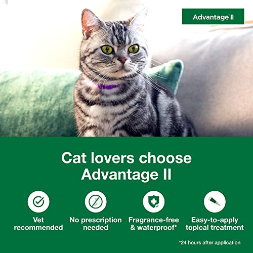 Bayer Animal Health Flea Prevention for Cats Over 9 lbs, 6 Pack, Advantage II