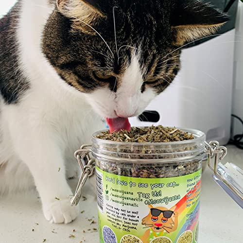 Meowijuana | Catnip Bud Pawty Mix | Organic | Dried Premium 7 Herb Blend | High Potency Cat Treats | Perfect for Cat Toys | Grown in The USA | Feline & Cat Lover Approved | 1 Pack
