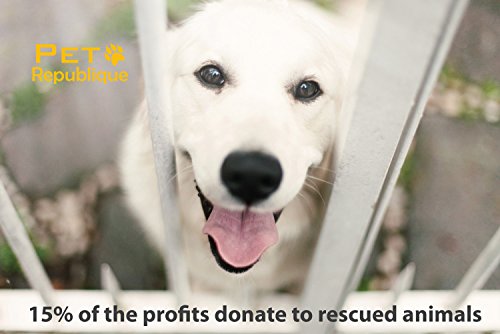 Pet Republique Cat Nail Clipper: Professional Stainless-Steel Trimmer