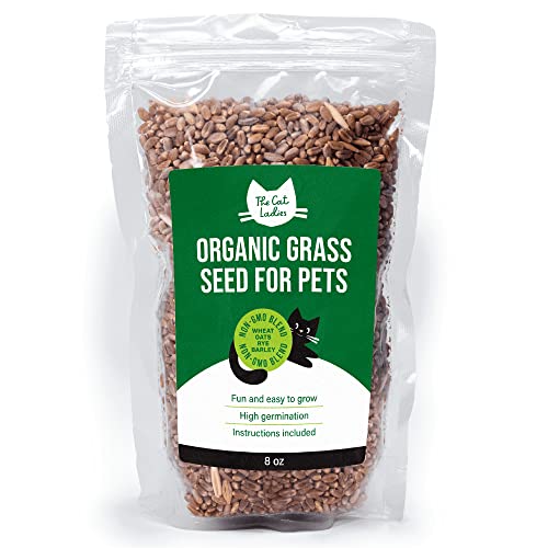 100% Organic Cat Grass Seed (Non GMO)