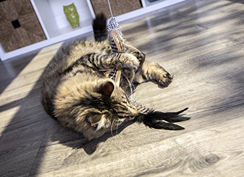 Petlinks 49223 Safari HyperNip Fly Wild Wand Cat Toy