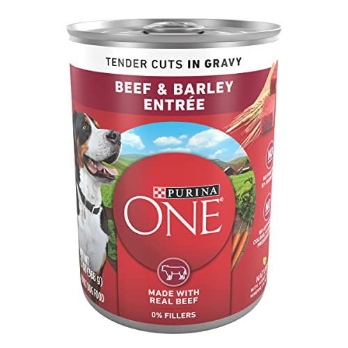 Purina ONE Natural, High Protein Gravy Wet Dog Food, SmartBlend Tender Cuts in Gravy Beef & Barley - (12) 13 oz. Cans