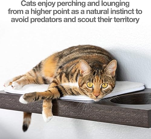 PetFusion Cat Activity Wall Shelves - Single Small Shelf. Sisal Surfaces for cat Scratching & Plush to Lounge, Neutral Design & Color Tones. Easy & Secure Wall Mount