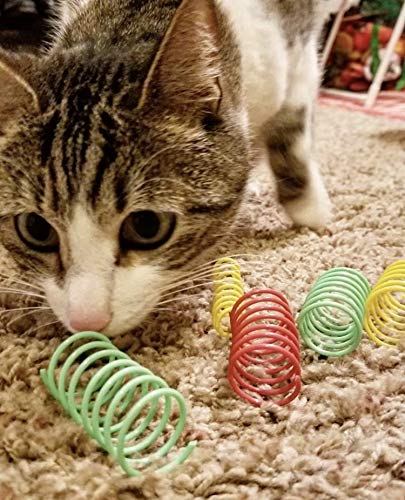 Ethical Wide Colorful Springs Cat Toy