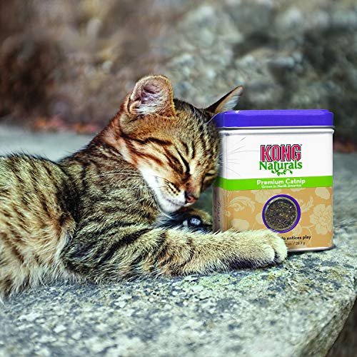 KONG - Naturals Premium Catnip - Premium North American Grown - 2 Ounce (2 Pack)