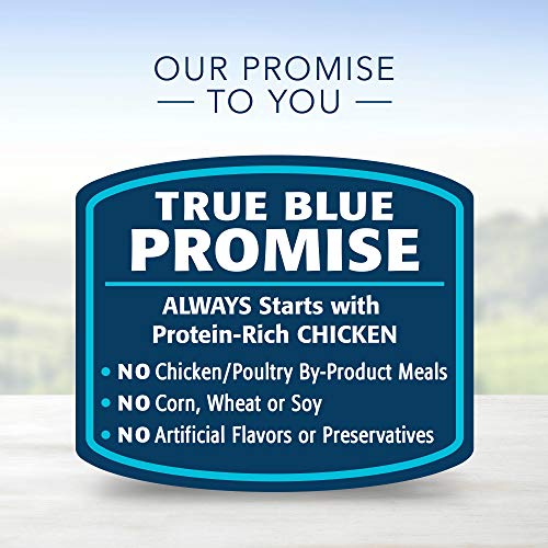 Blue Buffalo Healthy Gourmet Natural Adult Pate Wet Cat Food, Indoor Chicken 3-oz cans (Pack of 24), 800113