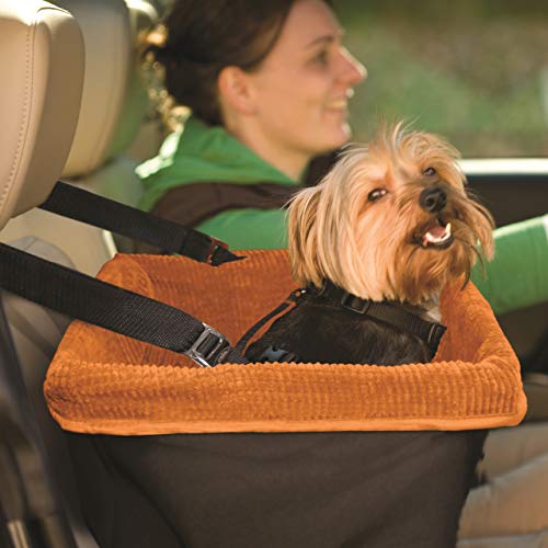 Kurgo Skybox Car Booster Seat for Dogs | Dog Seat for Cars | Waterproof Exterior | Helps with Canine Car Sickness | for Small Petsup to 30 lb | Dog Seatbelt Tether Included | Black/Orange
