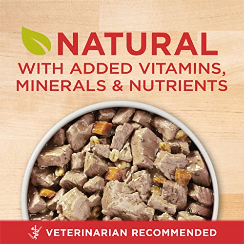 Purina ONE Natural, High Protein Gravy Wet Dog Food, SmartBlend Tender Cuts in Gravy Beef & Barley - (12) 13 oz. Cans