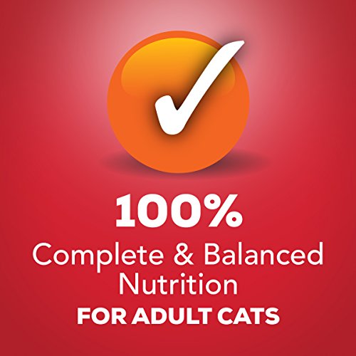 Purina Friskies Gravy Wet Cat Food, Shreds With Beef in Gravy - (24) 5.5 oz. Cans