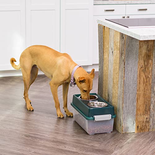 IRIS Medium Elevated Feeder with Airtight Storage, Green