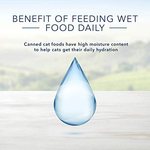 Blue Buffalo Healthy Gourmet Natural Adult Pate Wet Cat Food, Indoor Chicken 3-oz cans (Pack of 24), 800113