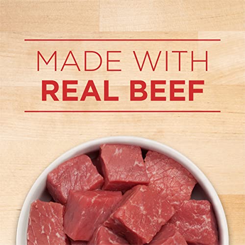 Purina ONE Natural, High Protein Gravy Wet Dog Food, SmartBlend Tender Cuts in Gravy Beef & Barley - (12) 13 oz. Cans