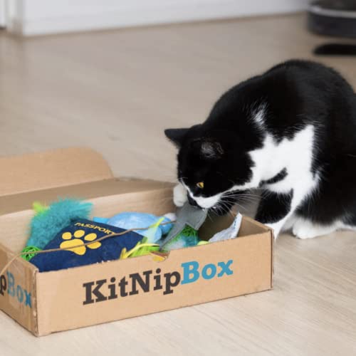 KitNipBox - Monthly Cat Subscription Box of Cat Toys, Treats and Goodies: Happy Cat