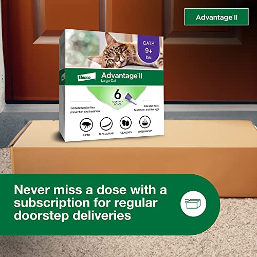 Bayer Animal Health Flea Prevention for Cats Over 9 lbs, 6 Pack, Advantage II