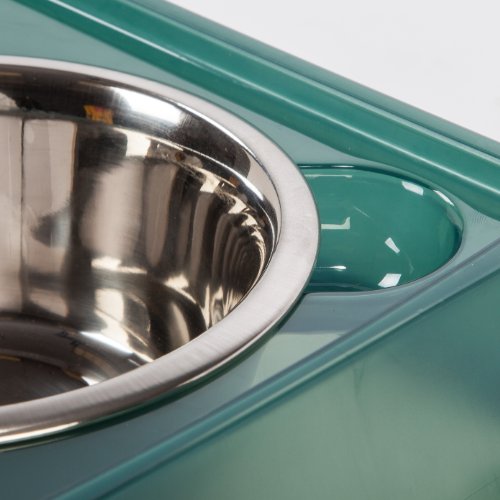 IRIS Medium Elevated Feeder with Airtight Storage, Green