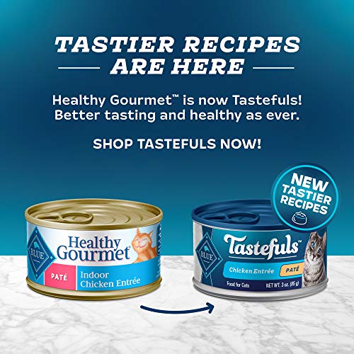 Blue Buffalo Healthy Gourmet Natural Adult Pate Wet Cat Food, Indoor Chicken 3-oz cans (Pack of 24), 800113