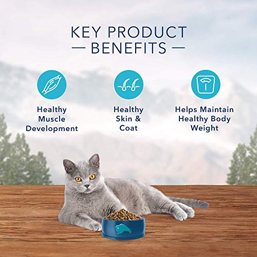 Blue Buffalo Wilderness High Protein Grain Free, Natural Adult Indoor Dry Cat Food, Chicken 11-lb