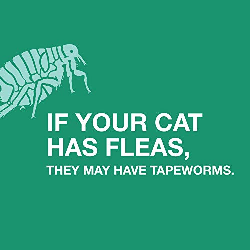 Bayer Tapeworm Dewormer (praziquantel tablets) for Cats, 3-Count Praziquantel Tablets for Cats and Kittens 6 Weeks and Older