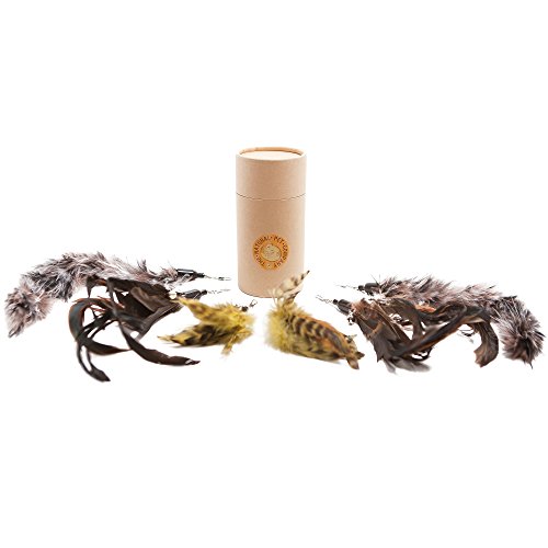 The Natural Pet Company Cat Toys Feather Refill 6 Pack - Add Life to Your Cat's Favorite Toy with This Interchangeable Feather Refill Multipack (As Photographed).