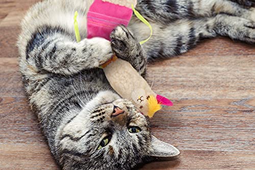 SmartyKat Leggy Llama