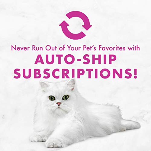 Purina Fancy Feast Grain Free Pate Wet Cat Food Variety Pack, Seafood Classic Pate Collection - (2 Packs of 12) 3 oz. Cans