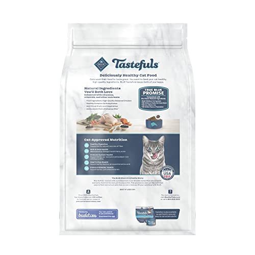 Blue Buffalo Healthy Living Natural Adult Dry Cat Food, Chicken & Brown Rice 3-lb, 3 lb