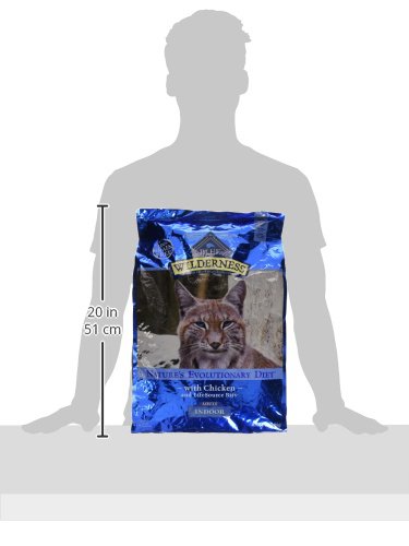 Blue Buffalo Wilderness High Protein Grain Free, Natural Adult Indoor Dry Cat Food, Chicken 11-lb