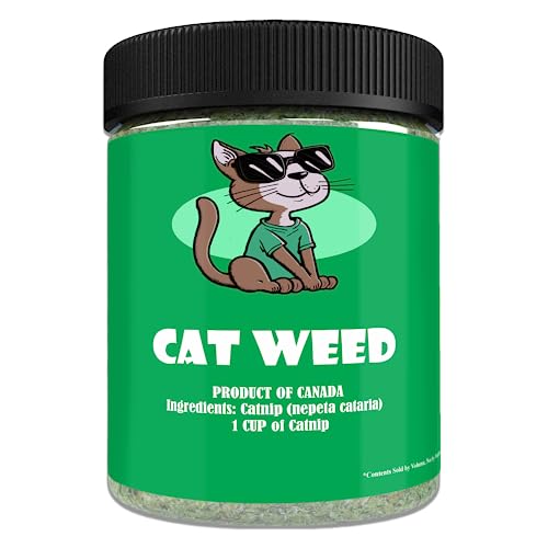 Cat Weed Catnip has Maximum Potency Premium Blend Nip That Your Cats to Go Crazy Over (1 Cup)