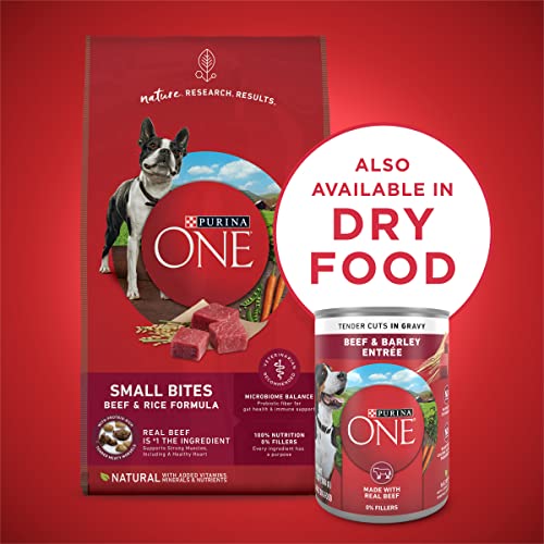 Purina ONE Natural, High Protein Gravy Wet Dog Food, SmartBlend Tender Cuts in Gravy Beef & Barley - (12) 13 oz. Cans