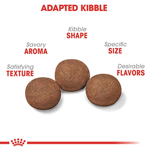 Royal Canin Medium Puppy Dry Dog Food, 6 pounds.